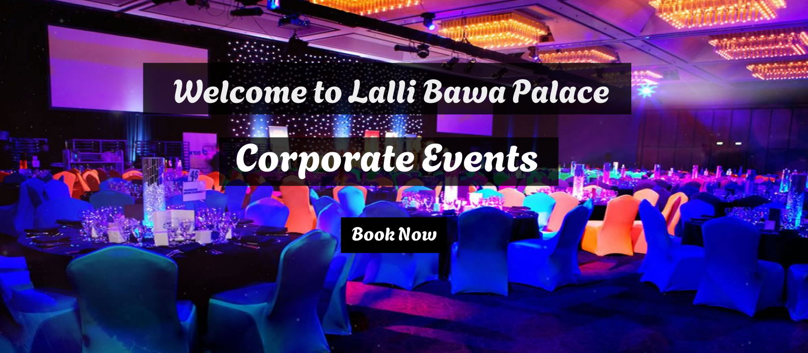 Theme Parties & Custom Events (1)